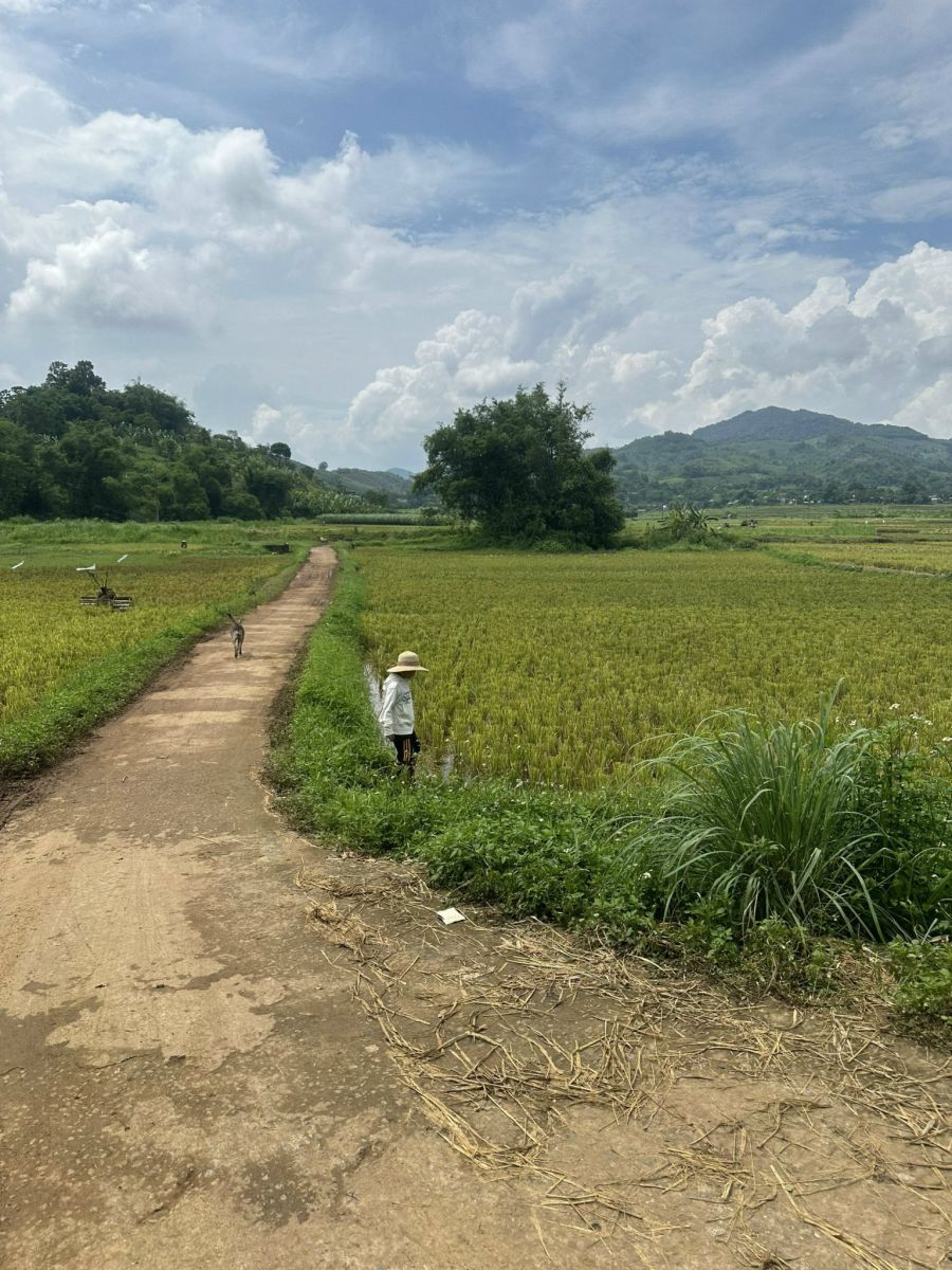 VỤ MÙA CỦA NGƯỜI DÂN TỘC TẠI HOÀ BÌNH 